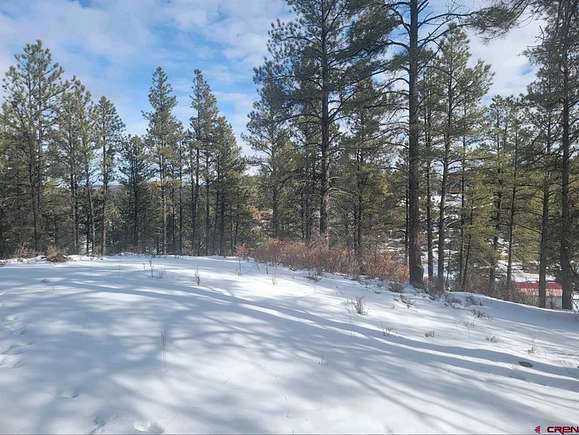 1 Acre of Residential Land for Sale in Pagosa Springs, Colorado