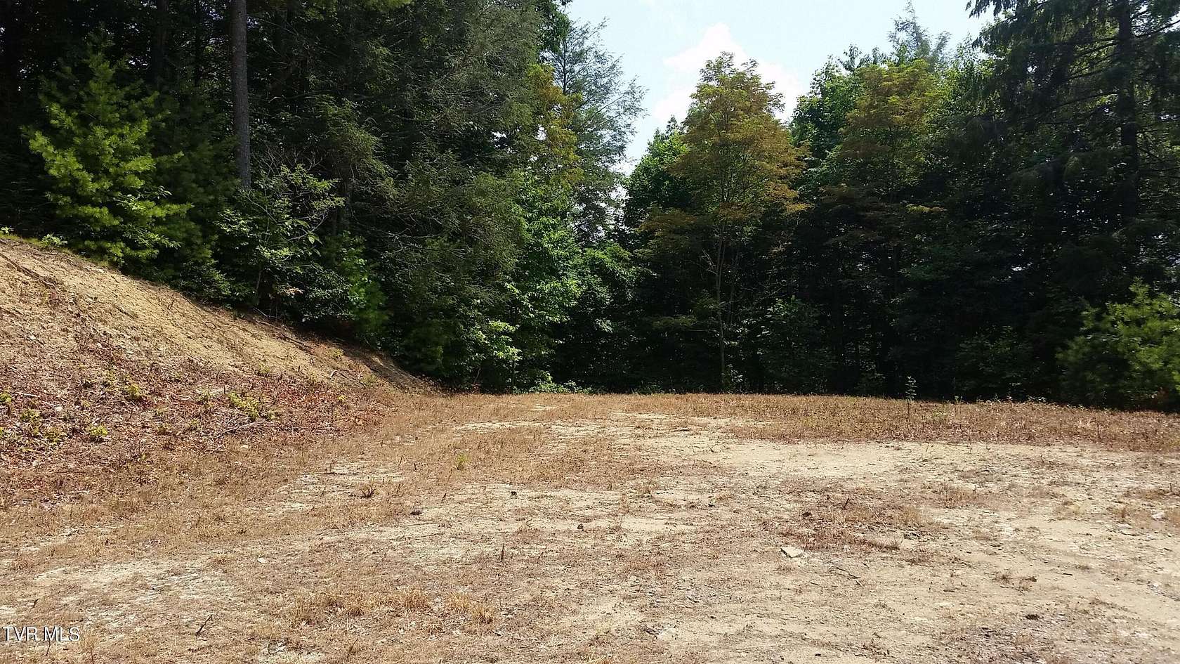 5 Acres of Residential Land for Sale in Butler, Tennessee