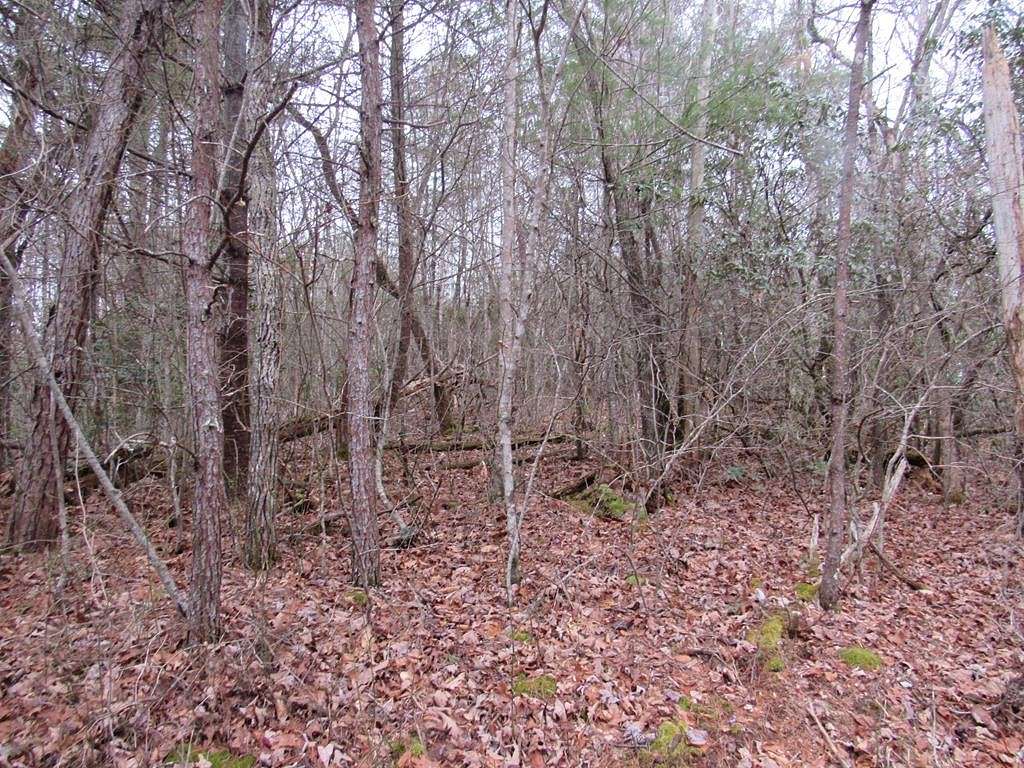 1 Acre of Land for Sale in Murphy, North Carolina