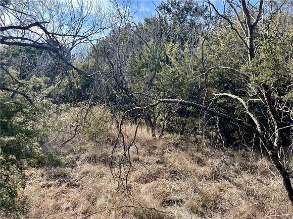 0.36 Acres of Residential Land for Sale in Whitney, Texas
