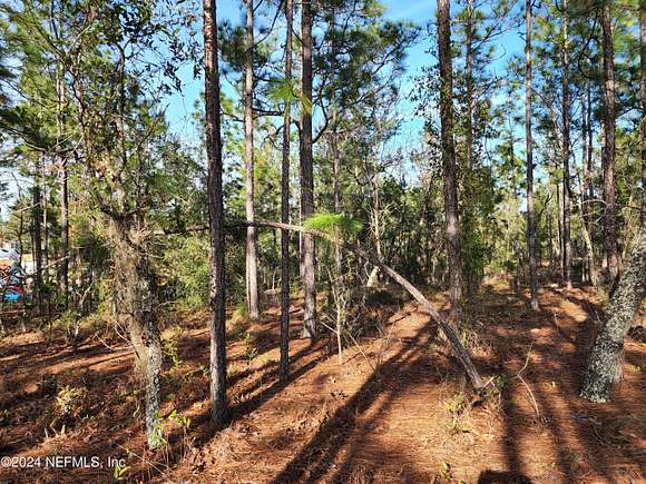 0.35 Acres of Residential Land for Sale in Keystone Heights, Florida