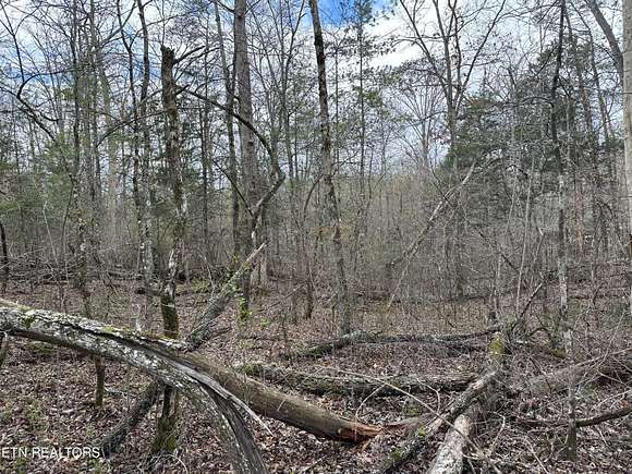 12.9 Acres of Land for Sale in Tellico Plains, Tennessee
