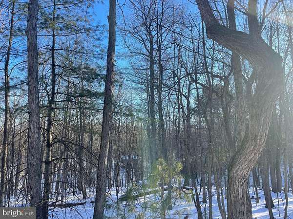 3 Acres of Residential Land for Sale in Bentonville, Virginia