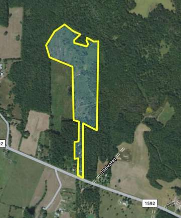 45.6 Acres of Agricultural Land for Sale in Bronson, Texas