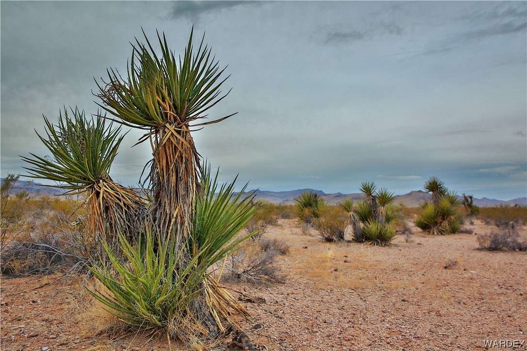 2.1 Acres of Land for Sale in Golden Valley, Arizona