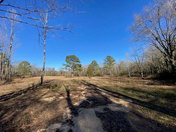 26 Acres of Recreational Land for Sale in Tylertown, Mississippi