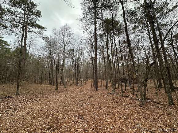 7.5 Acres of Residential Land for Sale in Montgomery, Alabama