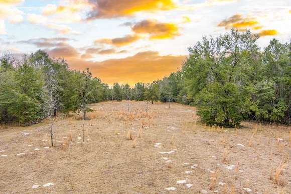 60.2 Acres of Land for Sale in O'Brien, Florida