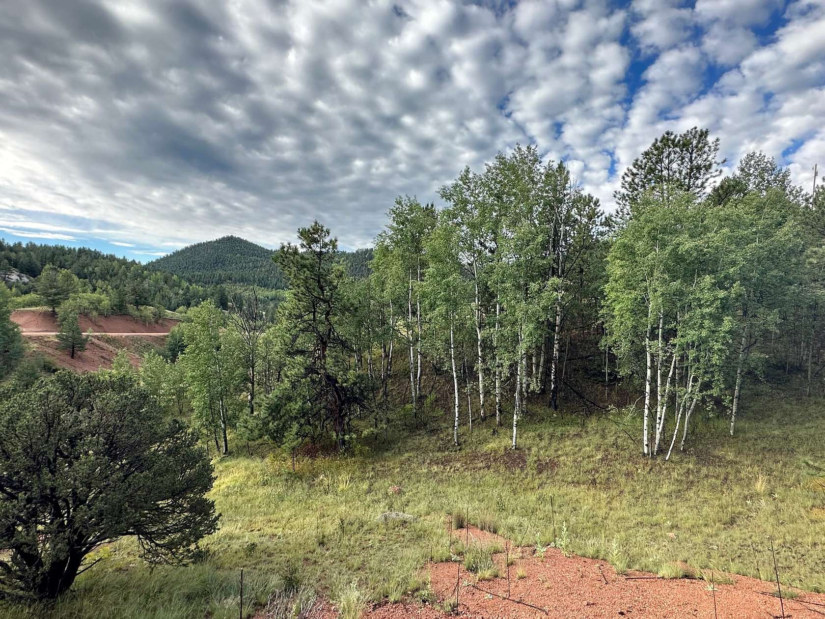 1.1 Acres of Residential Land for Sale in Cripple Creek, Colorado