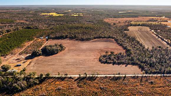 20 Acres of Agricultural Land for Sale in Grand Ridge, Florida