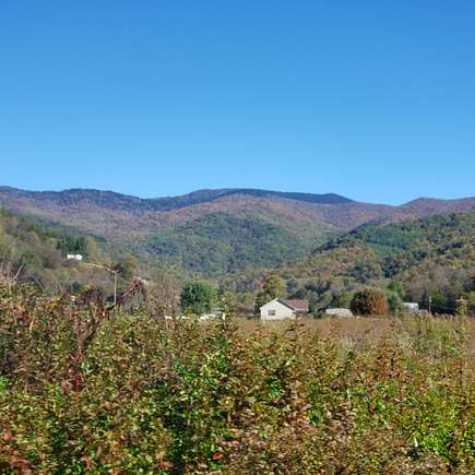 28.8 Acres of Recreational Land with Home for Sale in Barnardsville, North Carolina
