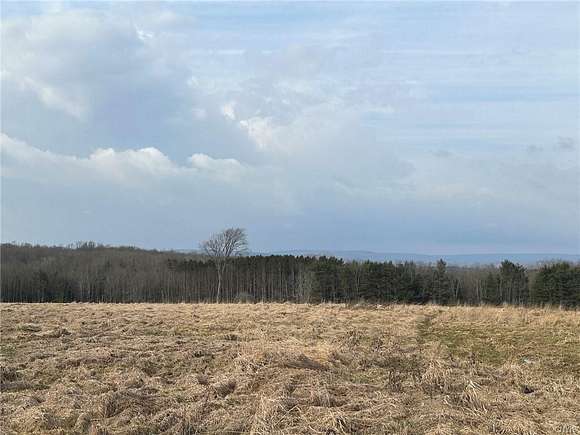 12 Acres of Recreational Land for Sale in Caneadea, New York