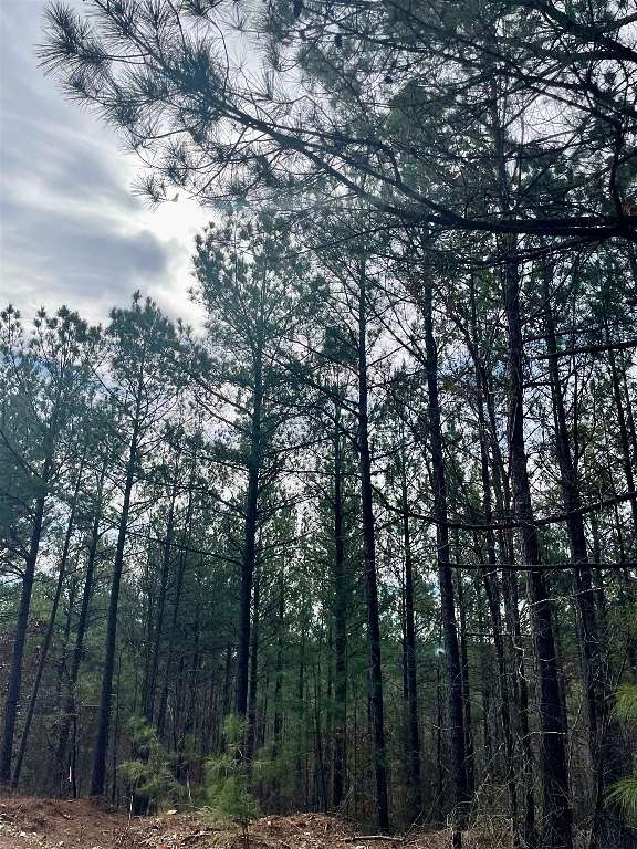 2.7 Acres of Land for Sale in Broken Bow, Oklahoma