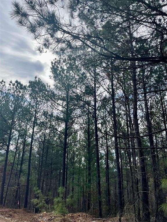 2.742 Acres of Residential Land for Sale in Broken Bow, Oklahoma