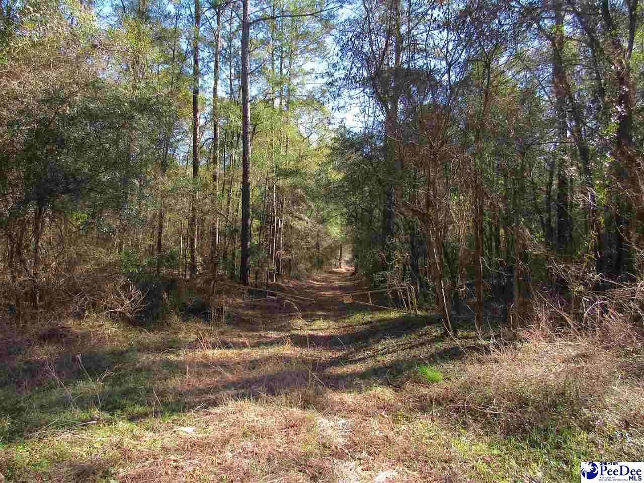 68 Acres of Recreational Land & Farm for Sale in Florence, South Carolina
