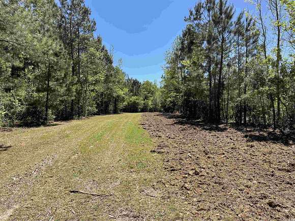 56.1 Acres of Recreational Land for Sale in Andrews, South Carolina