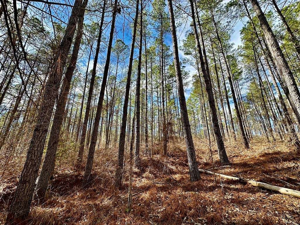112 Acres of Recreational Land & Farm for Sale in Macedonia, Mississippi