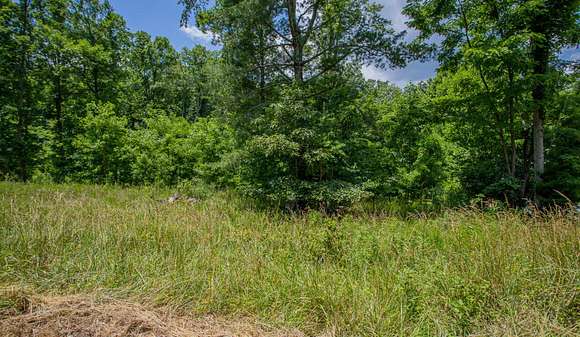 5 Acres of Residential Land for Sale in Hardy, Virginia