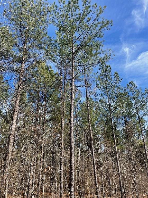 2.6 Acres of Land for Sale in Broken Bow, Oklahoma