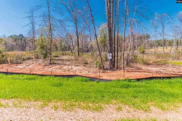 1.3 Acres of Residential Land for Sale in Prosperity, South Carolina