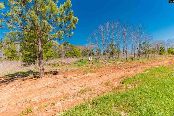 0.72 Acres of Residential Land for Sale in Prosperity, South Carolina