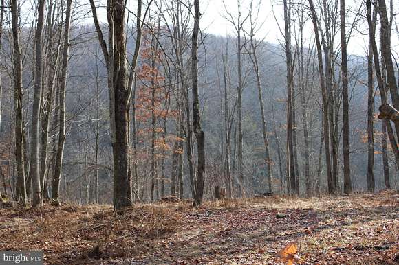 34.5 Acres of Recreational Land for Sale in West Decatur, Pennsylvania
