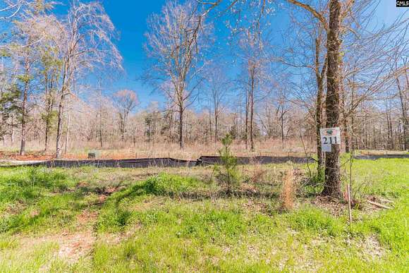 0.95 Acres of Residential Land for Sale in Prosperity, South Carolina