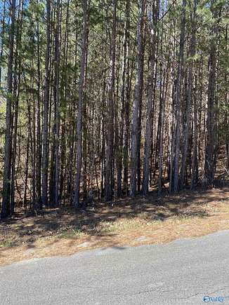 0.6 Acres of Residential Land for Sale in Fort Payne, Alabama