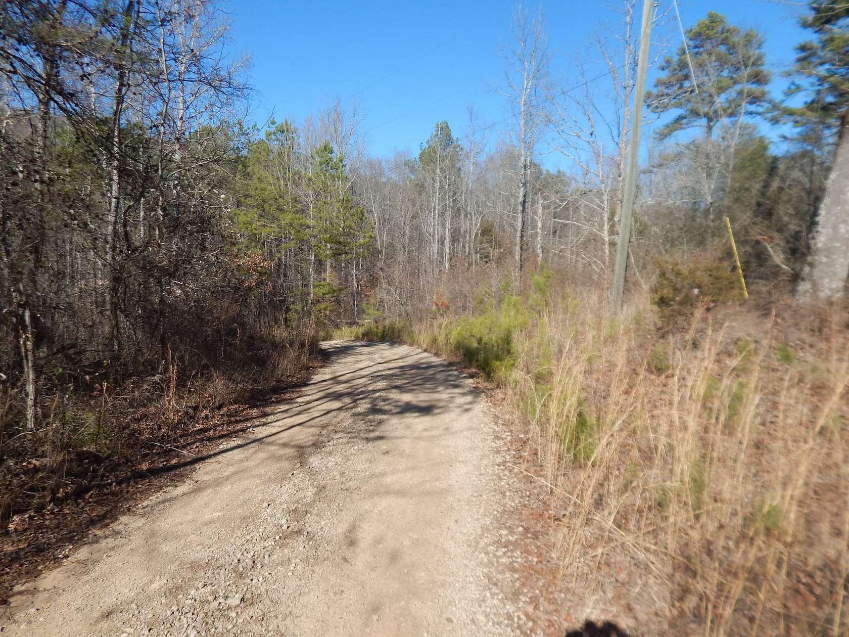 16.3 Acres of Recreational Land for Sale in Altoona, Alabama