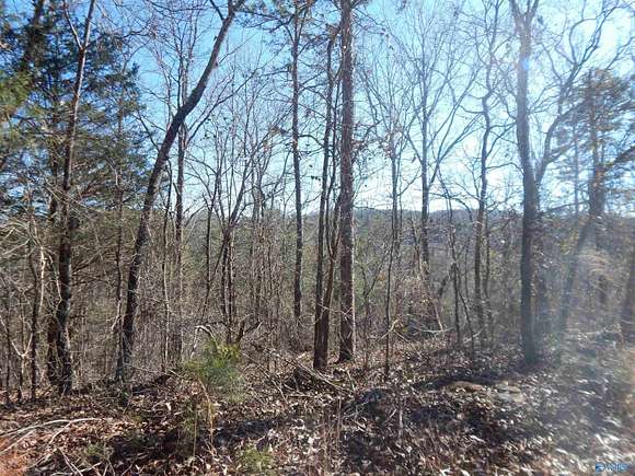 16.3 Acres of Land for Sale in Altoona, Alabama
