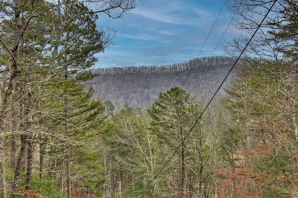 2.6 Acres of Residential Land for Sale in Blue Ridge, Georgia