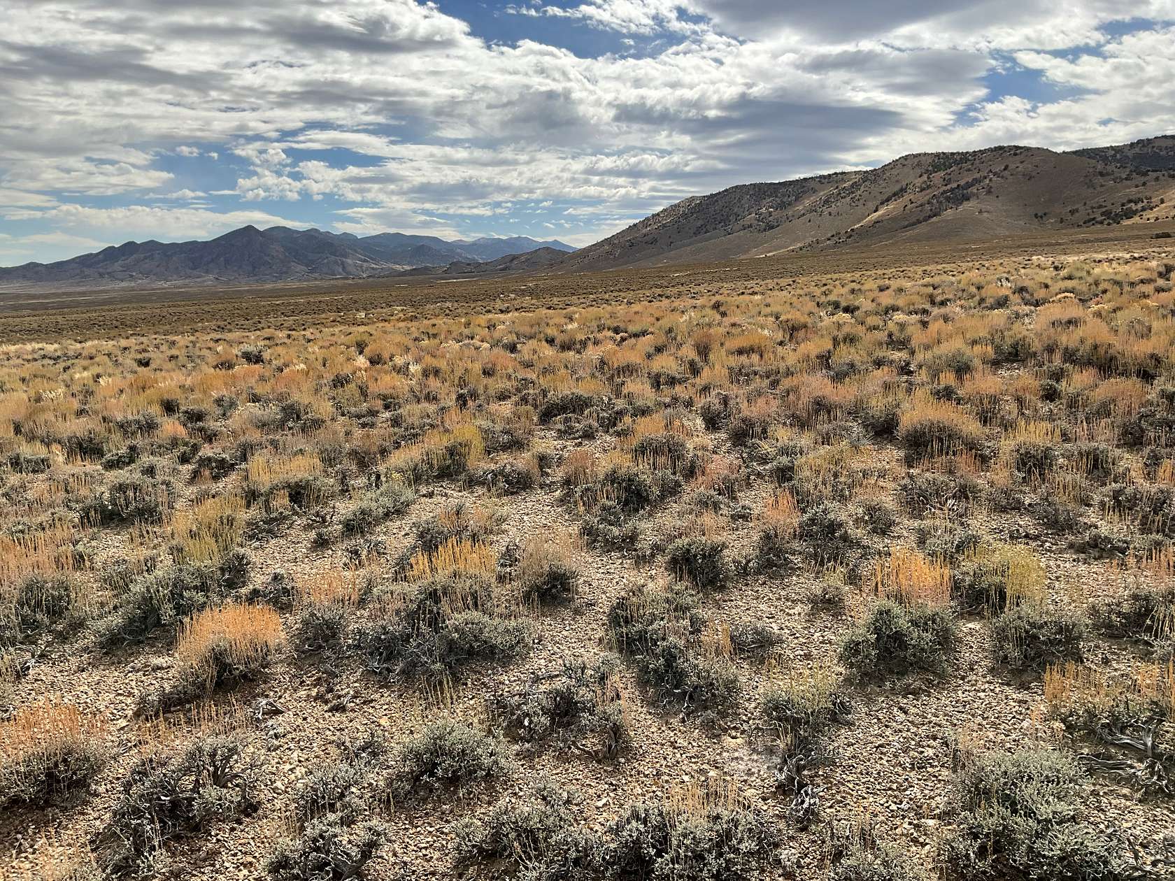 2.1 Acres of Residential Land for Sale in Loray, Nevada