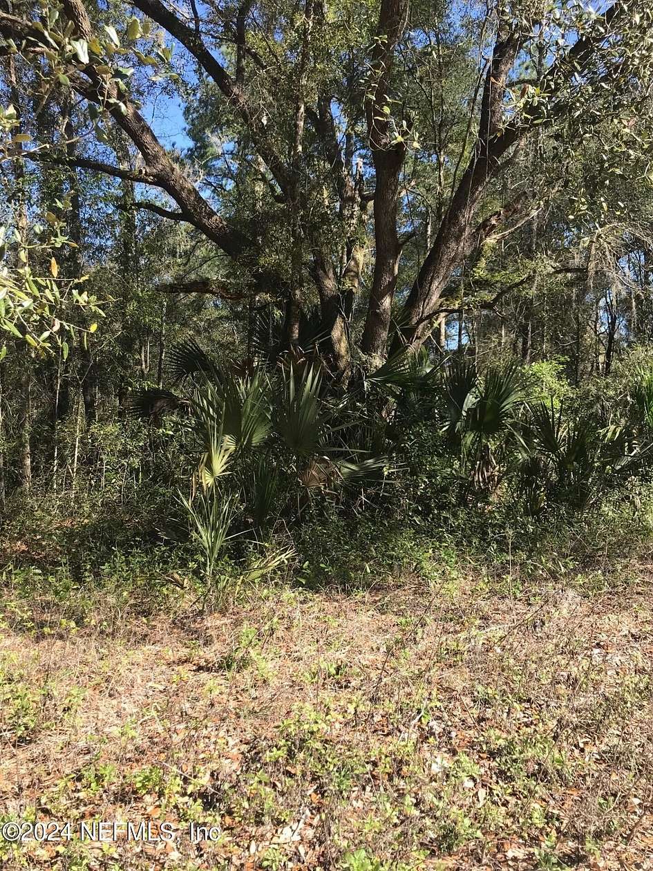 0.25 Acres of Residential Land for Sale in Interlachen, Florida