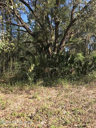 0.25 Acres of Residential Land for Sale in Interlachen, Florida