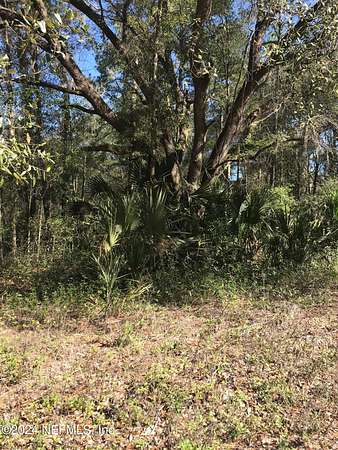 0.25 Acres of Residential Land for Sale in Interlachen, Florida