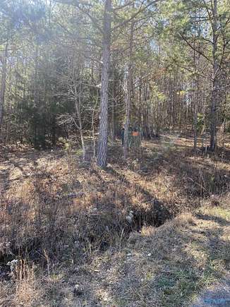 0.65 Acres of Residential Land for Sale in Fort Payne, Alabama