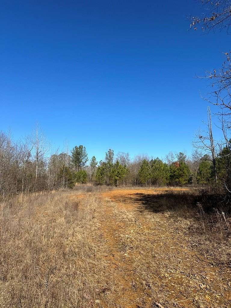 38.7 Acres of Recreational Land for Sale in Booneville, Mississippi