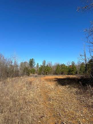 38.7 Acres of Recreational Land for Sale in Booneville, Mississippi