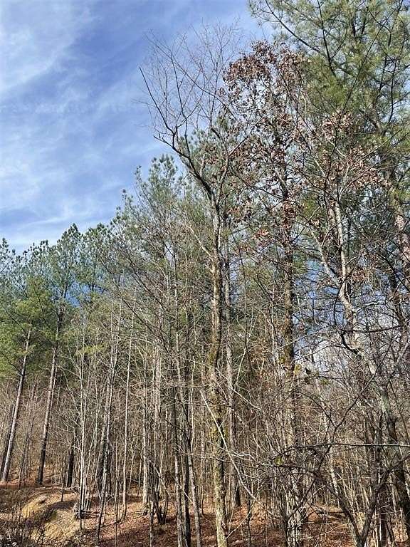 2.73 Acres of Residential Land for Sale in Broken Bow, Oklahoma