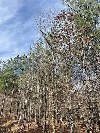 2.725 Acres of Residential Land for Sale in Broken Bow, Oklahoma