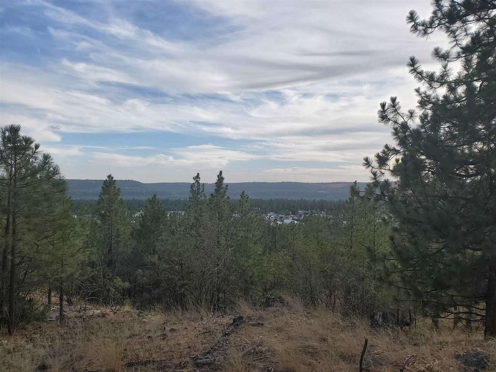 5.5 Acres of Residential Land for Sale in Nine Mile Falls, Washington