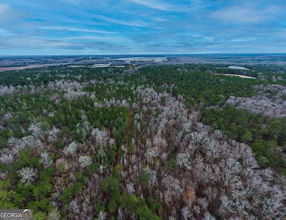 75.2 Acres of Land for Sale in West Point, Georgia
