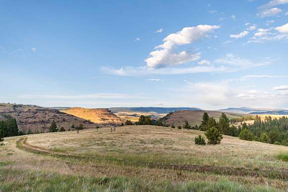 117 Acres of Recreational Land for Sale in Long Creek, Oregon