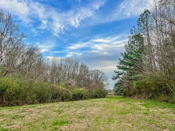 10 Acres of Land for Sale in Brookhaven, Mississippi