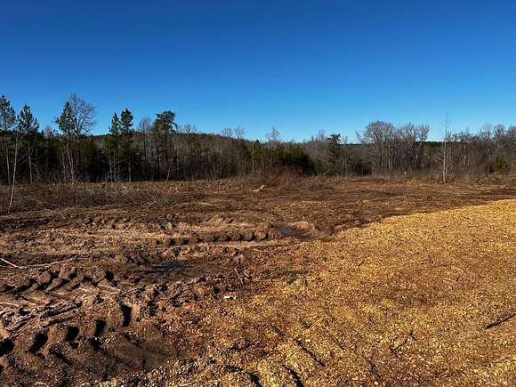 40 Acres of Land for Sale in Java, Virginia