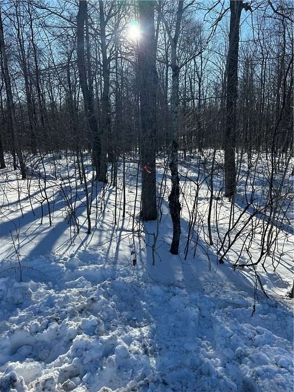 12.6 Acres of Land for Sale in Springfield Center, New York