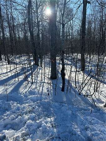 12.6 Acres of Land for Sale in Springfield Center, New York