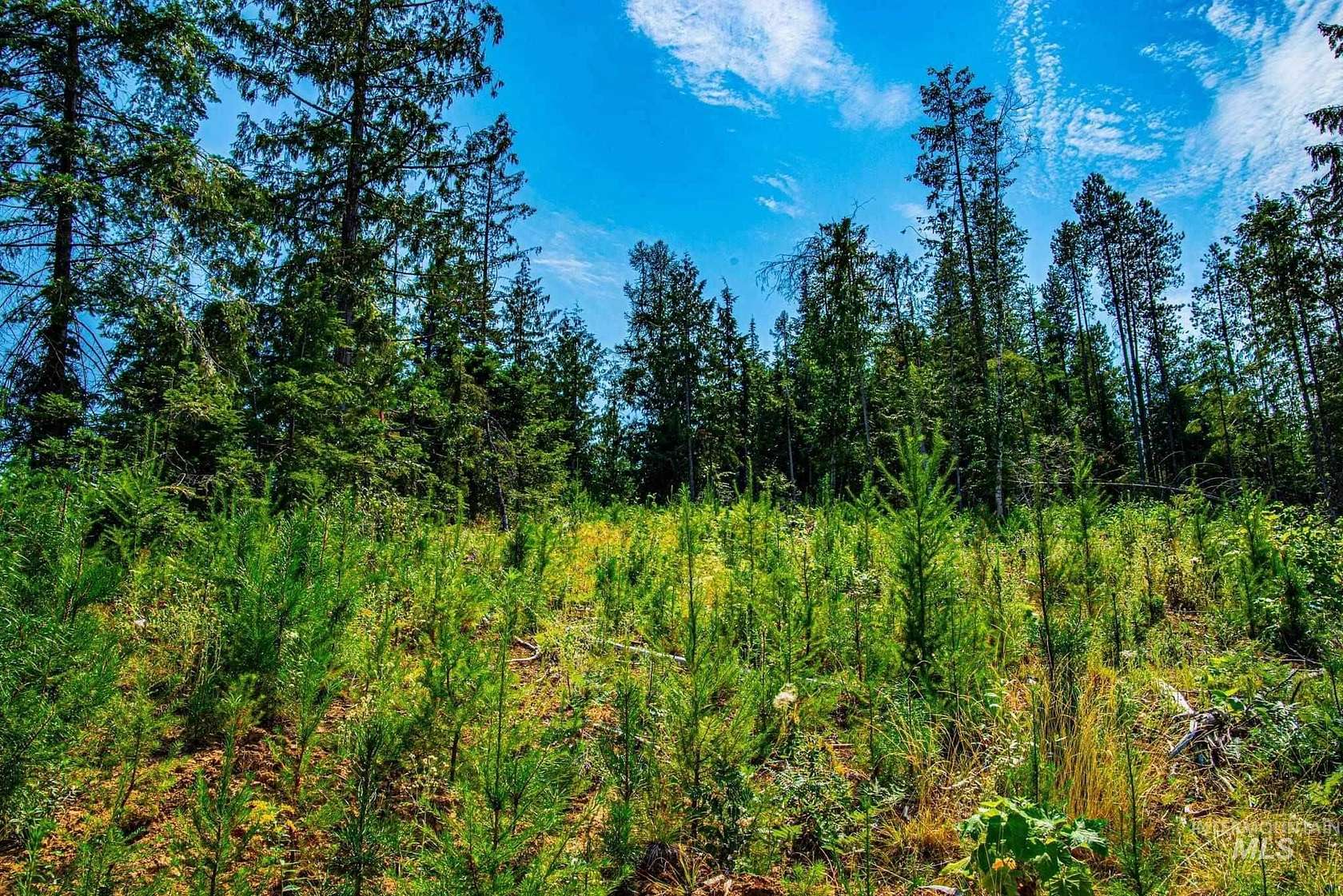 5.4 Acres of Residential Land for Sale in St. Maries, Idaho