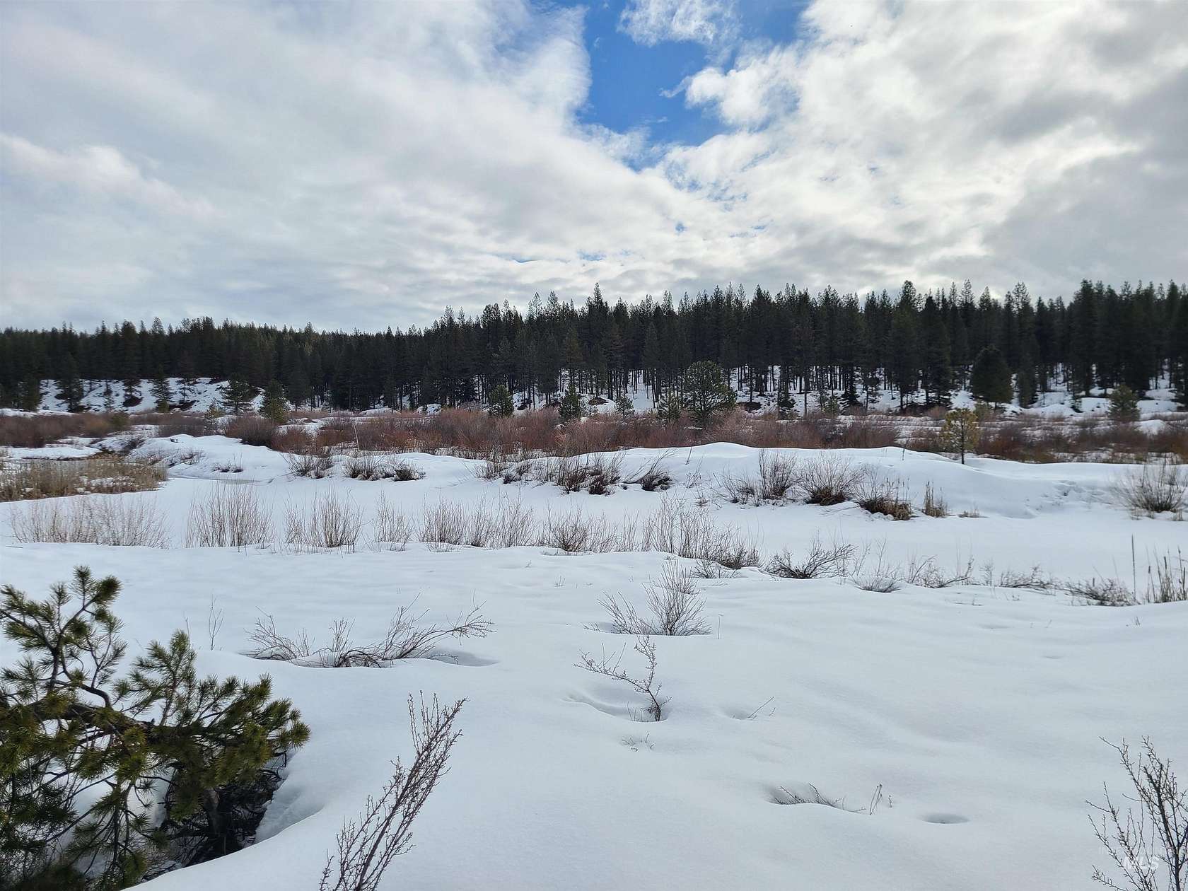 3 Acres of Residential Land for Sale in Idaho City, Idaho