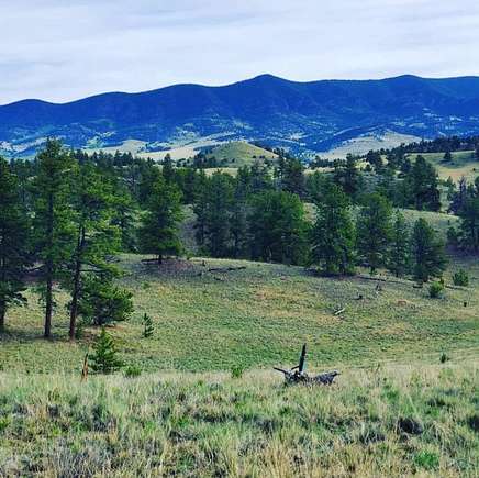 40 Acres of Recreational Land for Sale in Guffey, Colorado